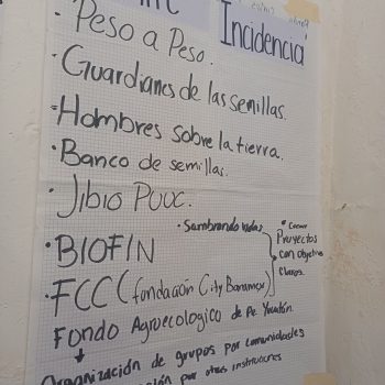 Mesa de trabajo 04 - 23
